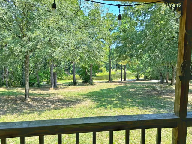 a view of a yard with large trees