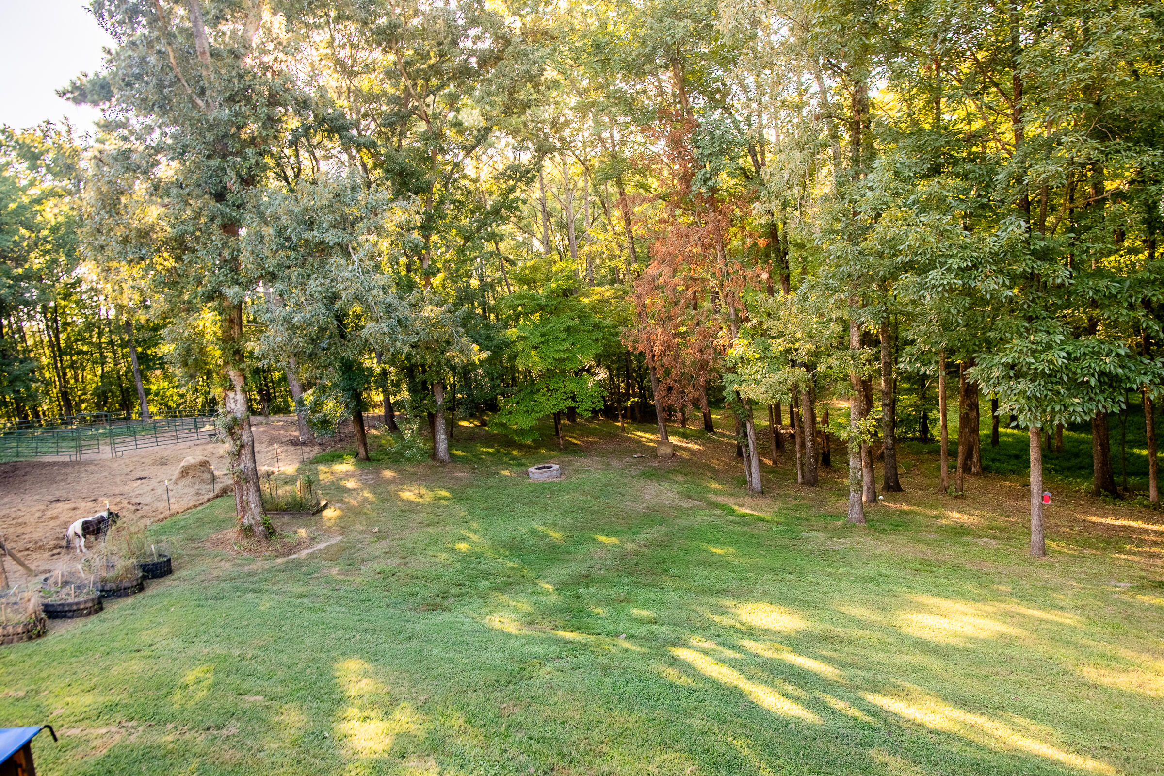 290 Potts Road Ringgold, GA 30736 - Photo 44 of 54 Potts-43