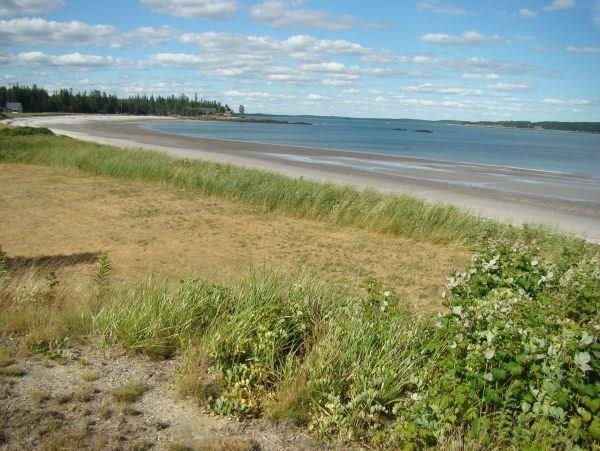 591 Mason Bay Road Jonesport, ME 04649 - Photo 4 of 8 Photo
