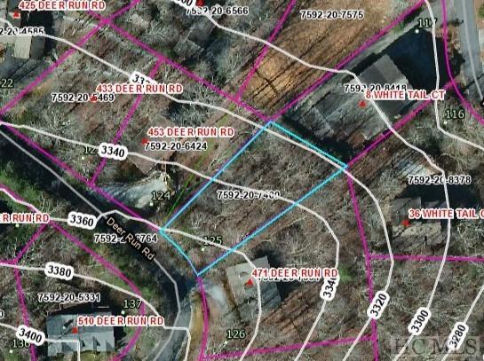 Lot 125 Deer Run Road Sapphire, NC 28774 - Photo 5 of 19 Gallery Image 5