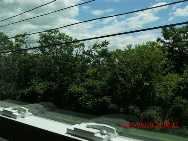 78 Taylor Street Boston, MA 02122 - Photo 6 of 13 a view of a yard