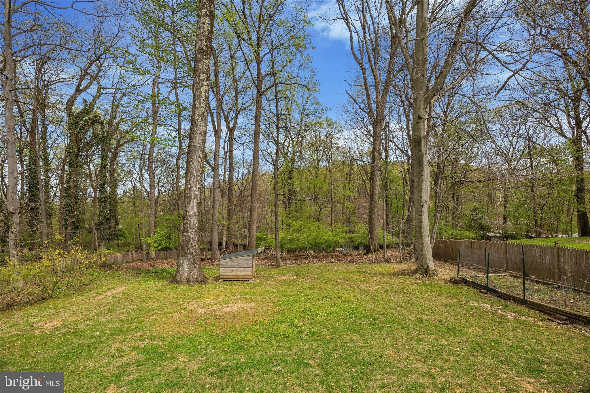699 West Valley Road Wayne, PA 19087 - Photo 5 of 39 Back Yard