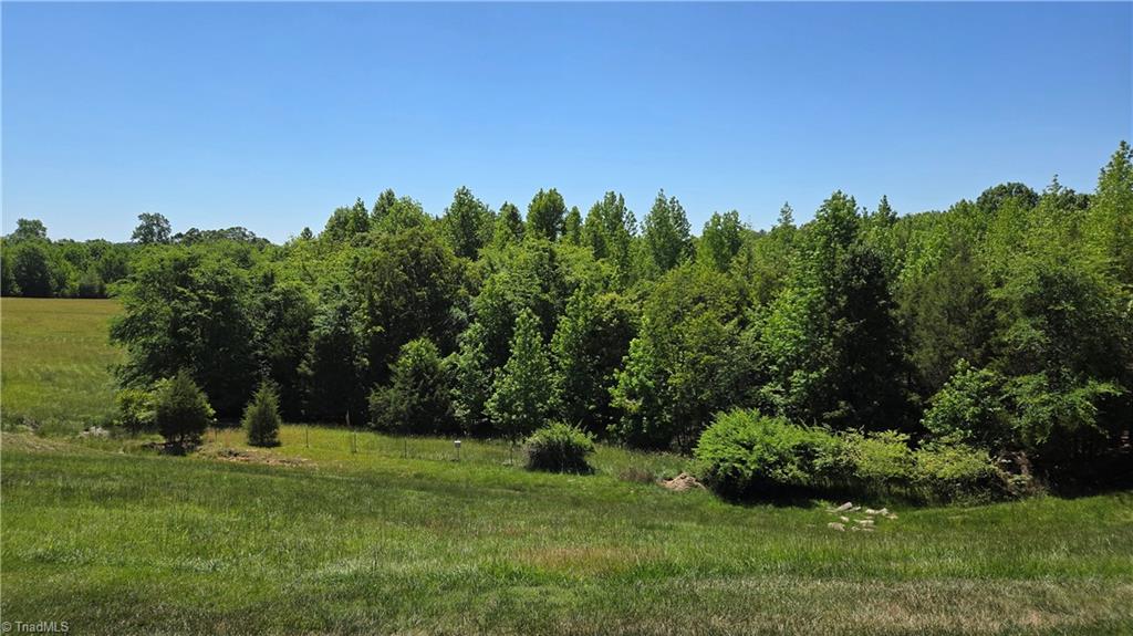 8365 Tralee Road Clemmons, NC 27012 - Photo 37 of 41
