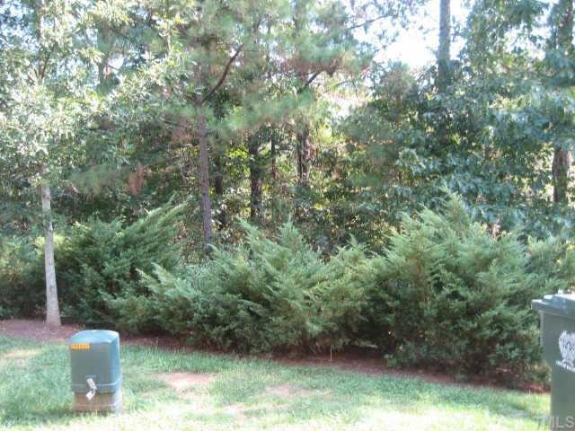 7318 Bonnie Ridge Court Raleigh, NC 27615 - Photo 8 of 9 a view of a outdoor space