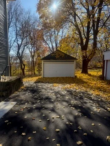 a view of a yard with yellow plants and trees