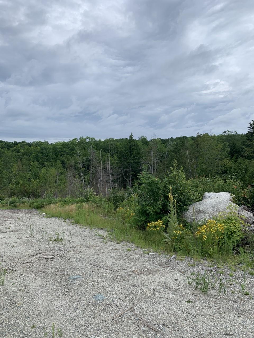 M120-l12 Winkumpaugh Road Ellsworth, ME 04605 - Photo 7 of 15 Land 4