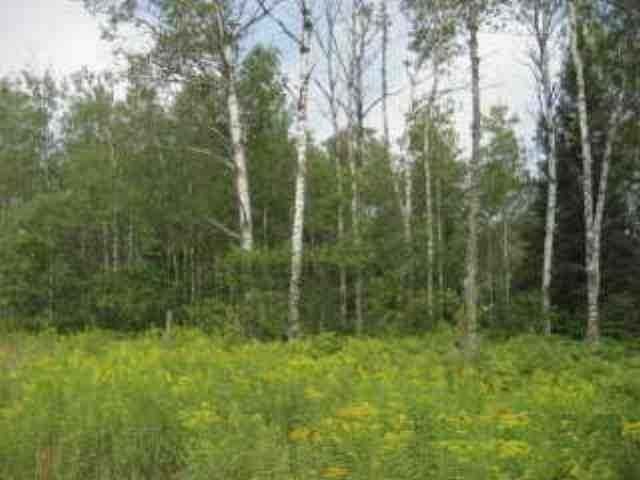 Lot 3 Weber Lake Road Manitowish Waters, WI 54545 - Photo 6 of 8 Gallery Image 6