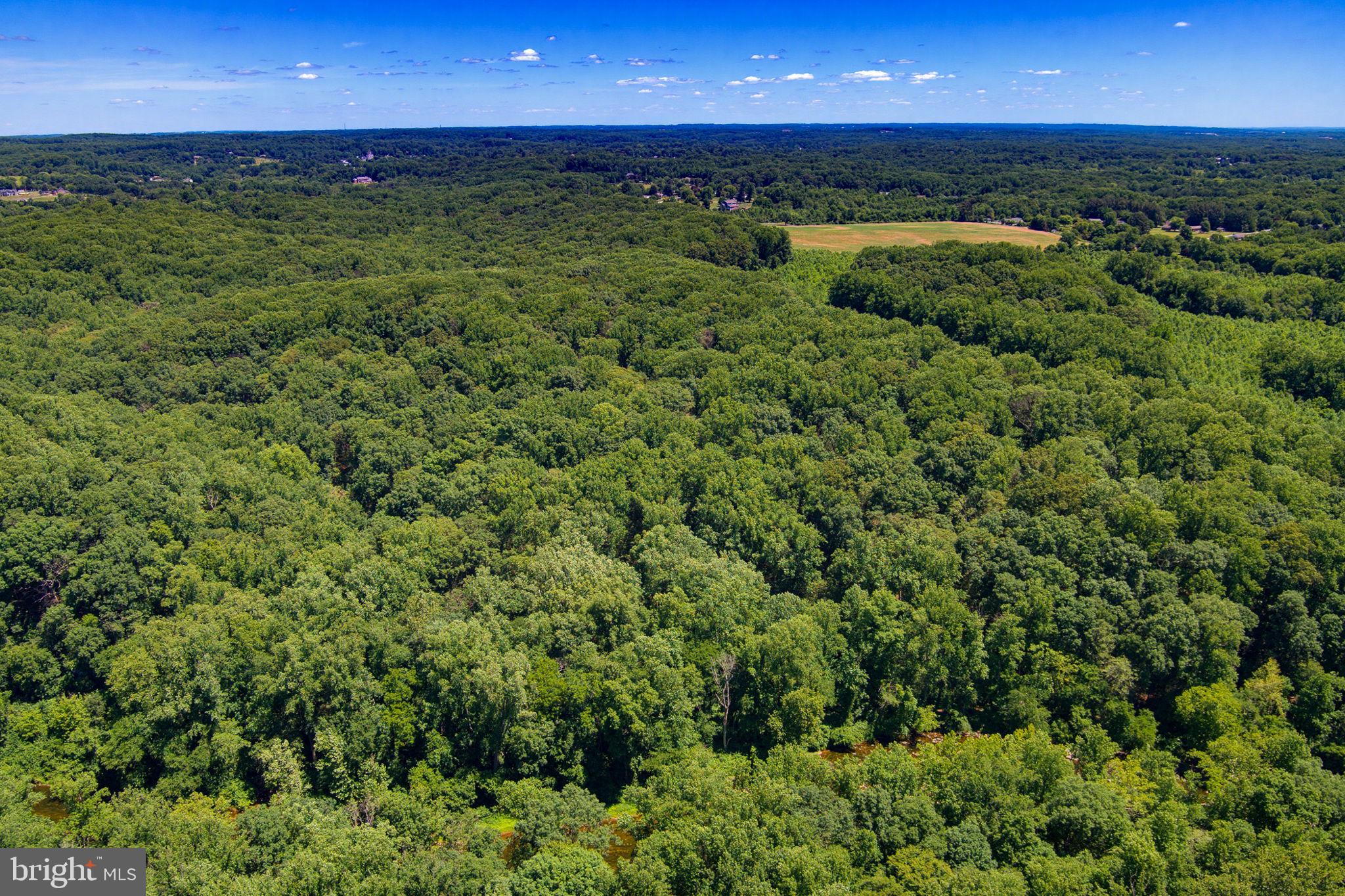 4806 Forge Road Perry Hall, MD 21128 - Photo 58 of 66
