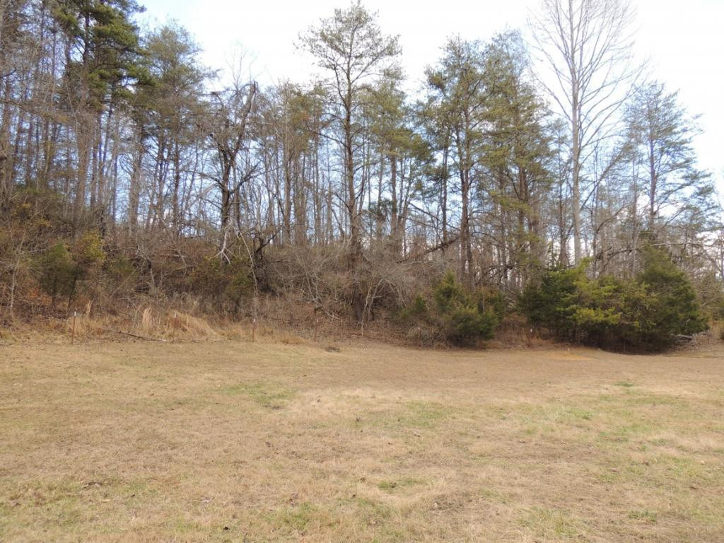 0 East Pumpkin Valley Road Eidson, TN 37731 - Photo 1 of 9 Photo 1