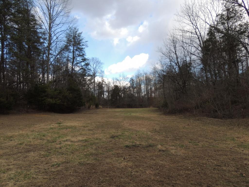 0 East Pumpkin Valley Road Eidson, TN 37731 - Photo 2 of 9 Pasture