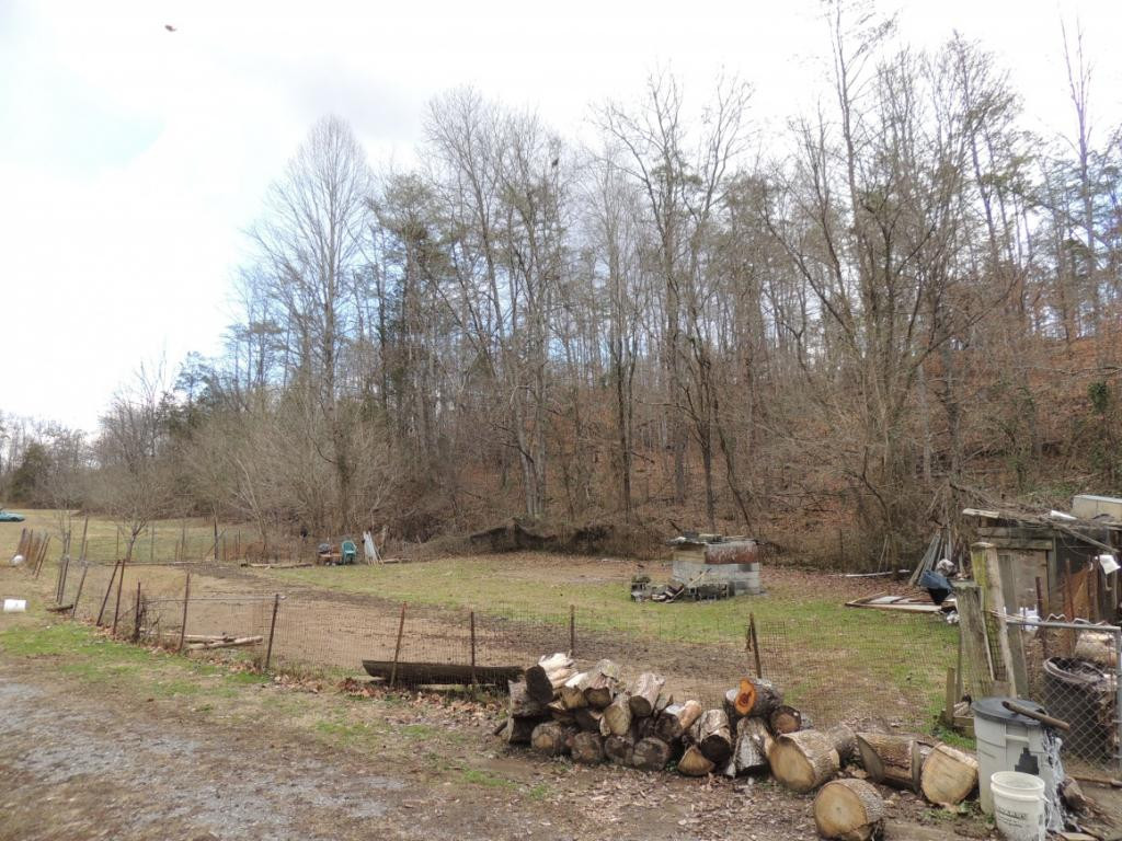 0 East Pumpkin Valley Road Eidson, TN 37731 - Photo 5 of 9 Garden area