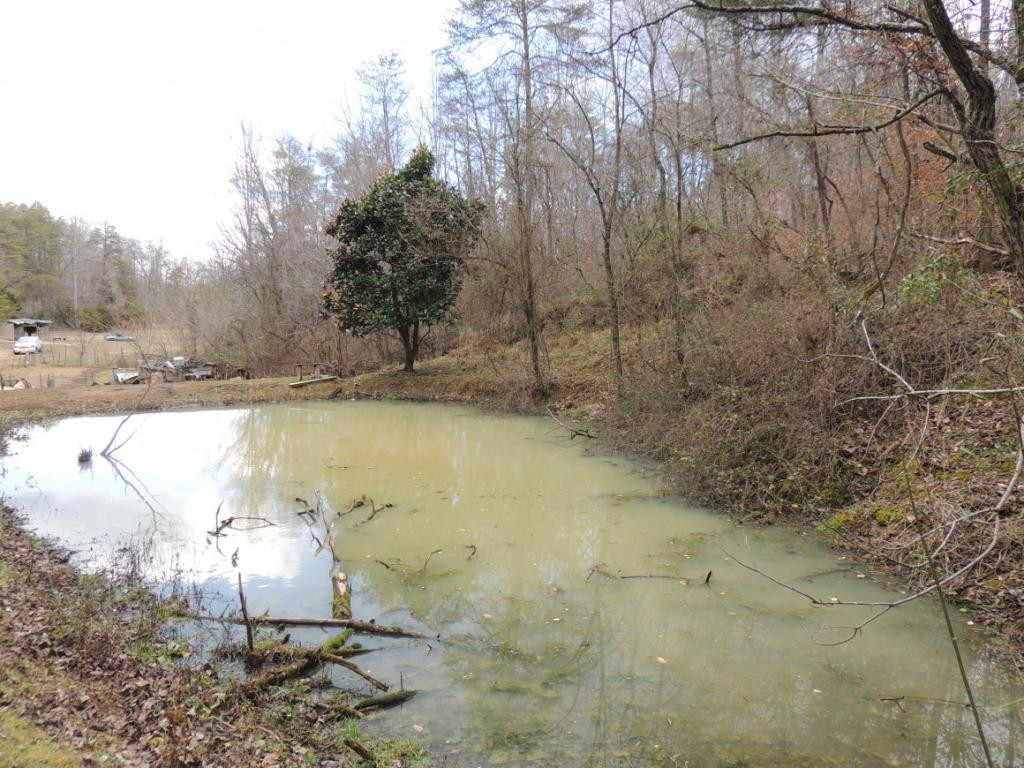 0 East Pumpkin Valley Road Eidson, TN 37731 - Photo 6 of 9 Pond