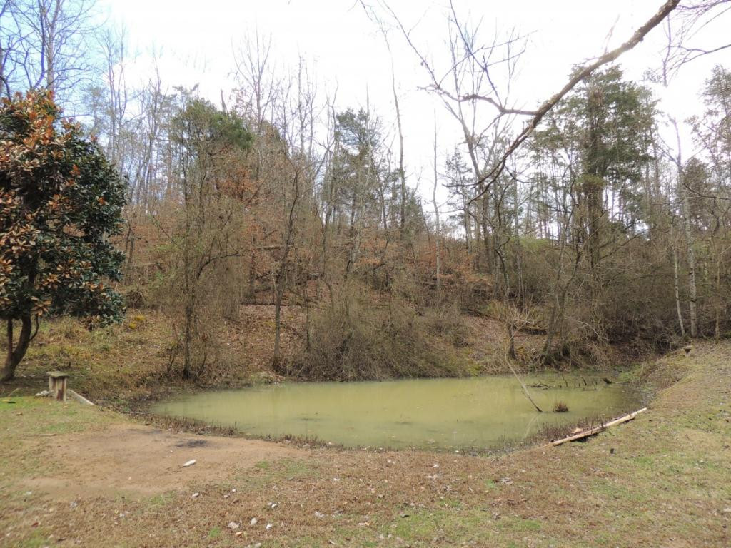0 East Pumpkin Valley Road Eidson, TN 37731 - Photo 7 of 9 Pond