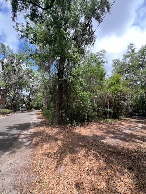 120 Northwest 9th Street Gainesville, FL 32601 - Photo 1 of 10 a view of a yard with a tree
