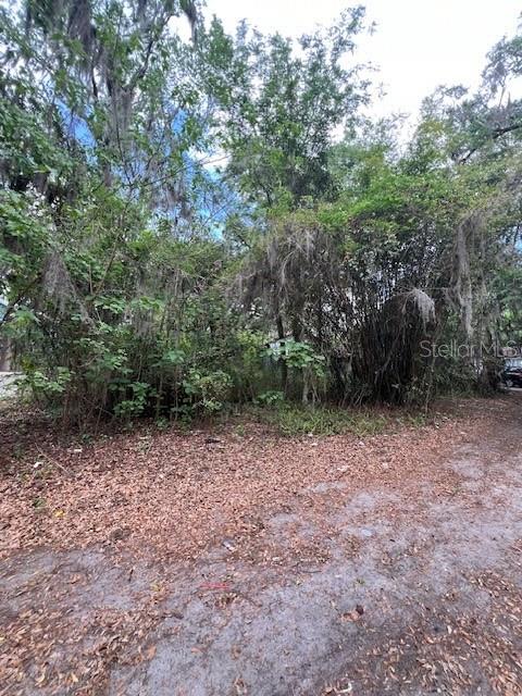 120 Northwest 9th Street Gainesville, FL 32601 - Photo 2 of 10 a view of a yard with a tree
