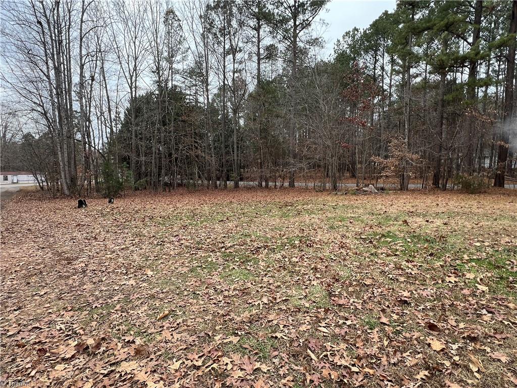 270 Gem Stone Loop Summerfield, NC 27358 - Photo 21 of 22