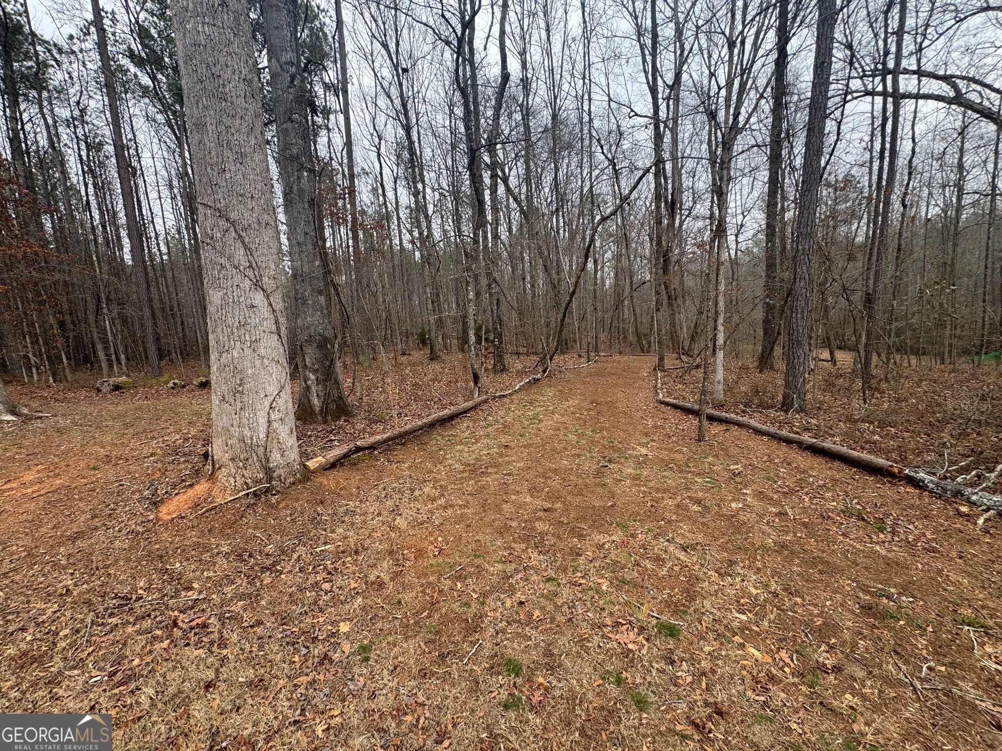 19 Allison Road Moreland, GA 30259 - Photo 14 of 19