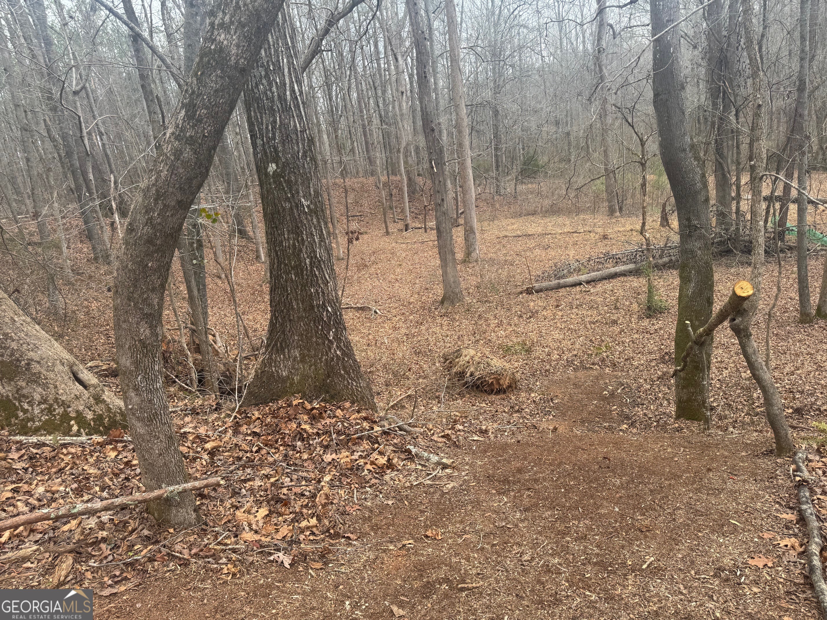 19 Allison Road Moreland, GA 30259 - Photo 15 of 19