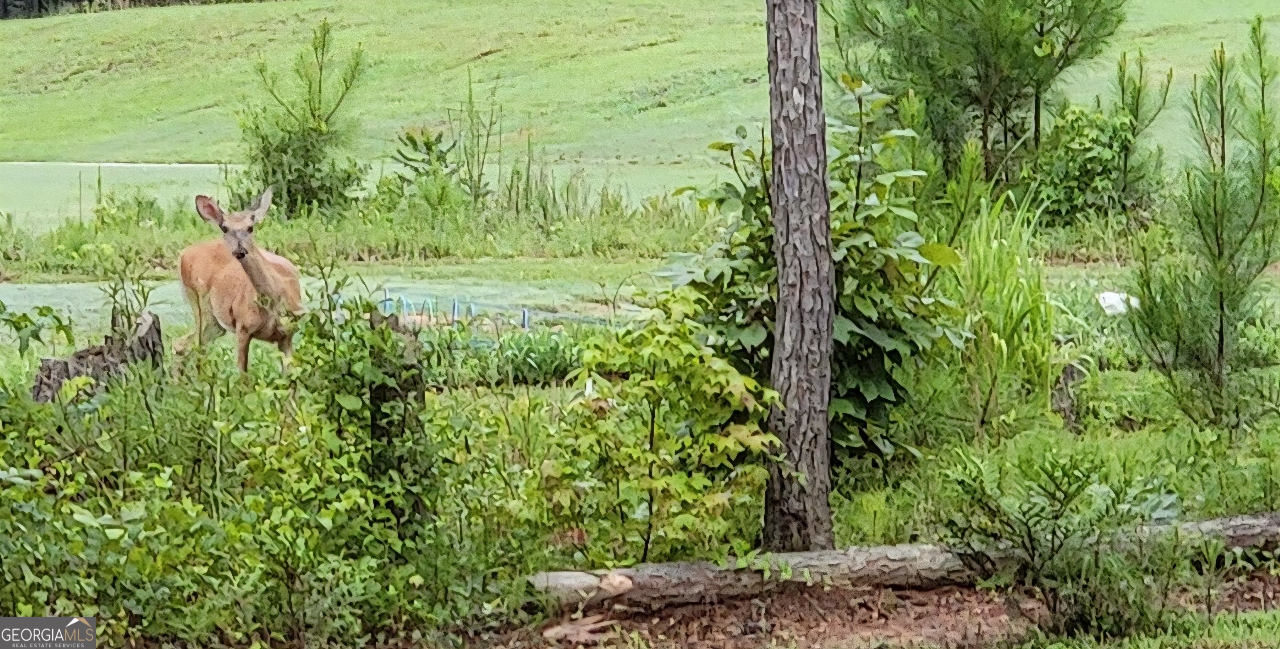 19 Allison Road Moreland, GA 30259 - Photo 16 of 19