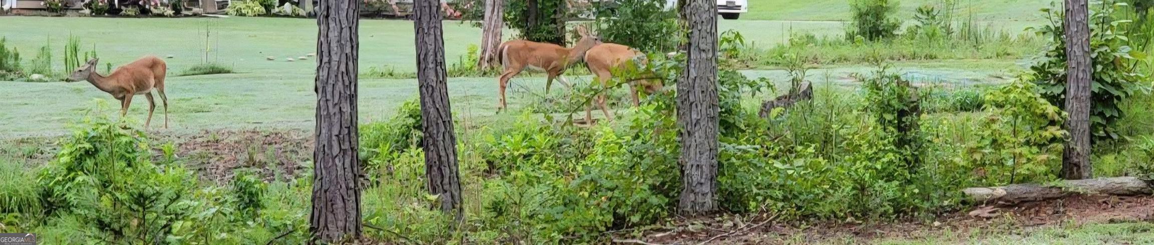 19 Allison Road Moreland, GA 30259 - Photo 17 of 19