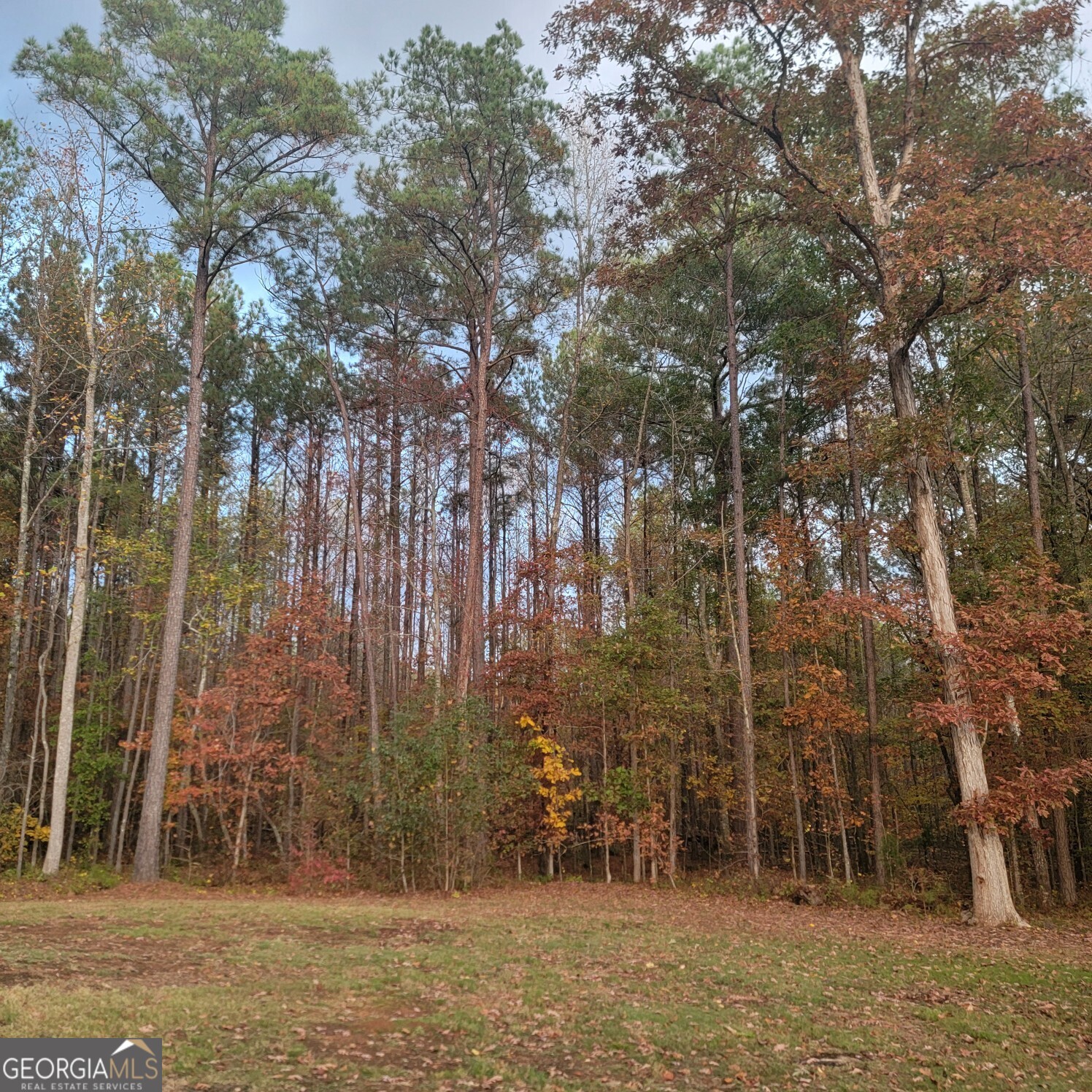 19 Allison Road Moreland, GA 30259 - Photo 18 of 19