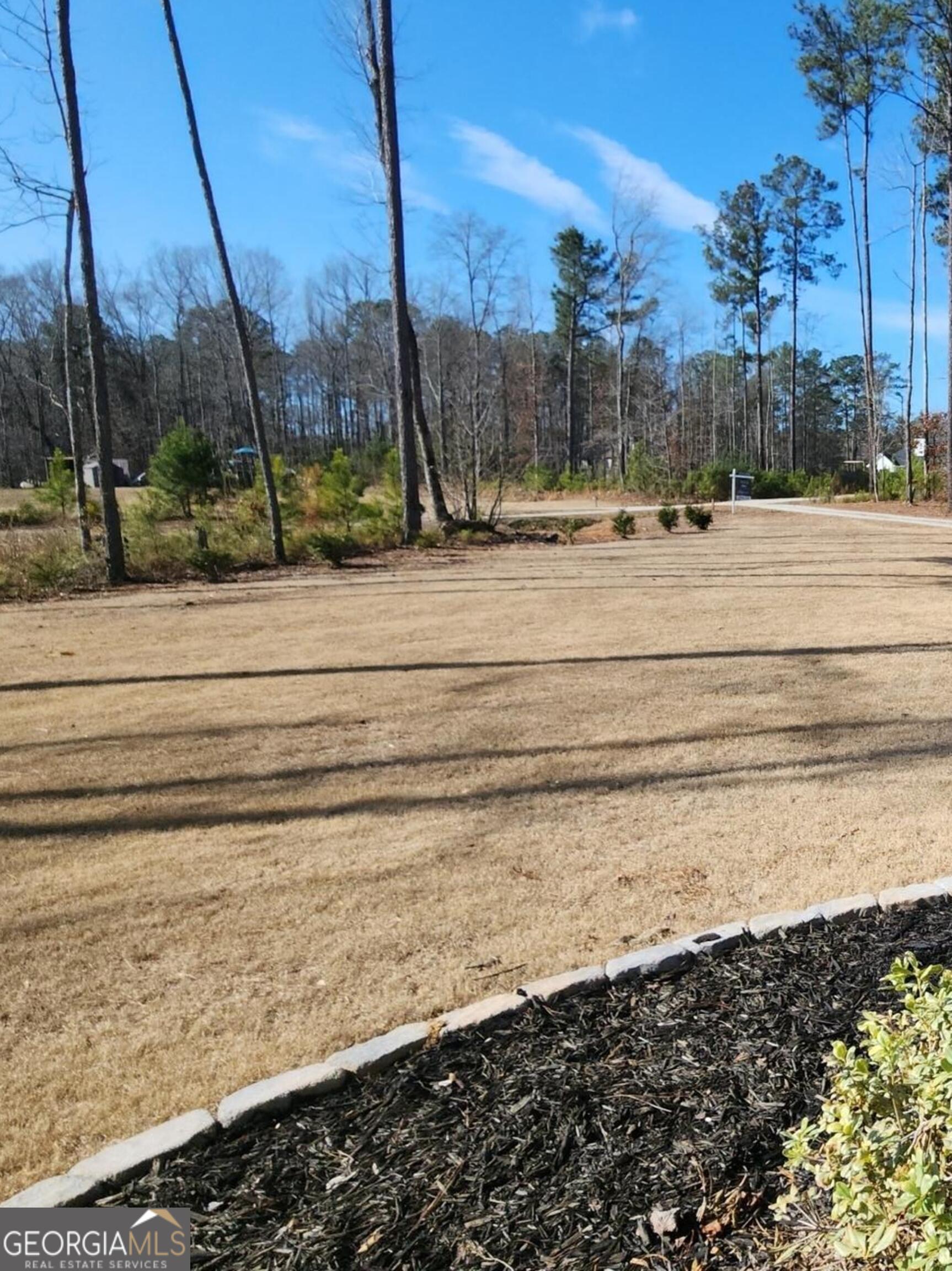 19 Allison Road Moreland, GA 30259 - Photo 2 of 19