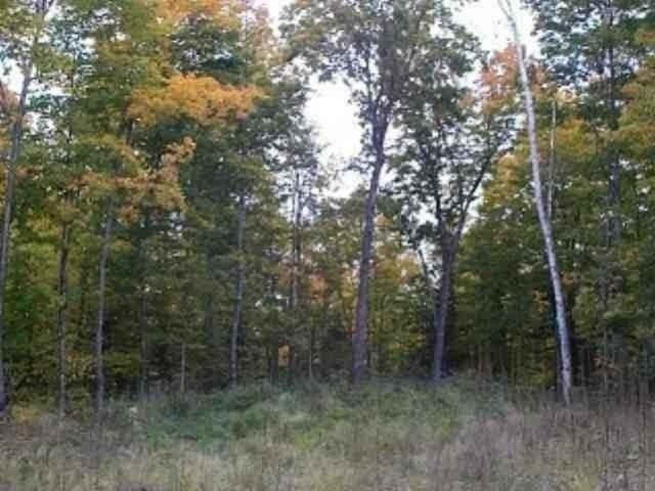 Lot 32 Nathan Pass Mercer, WI 54547 - Photo 8 of 8 Gallery Image 8