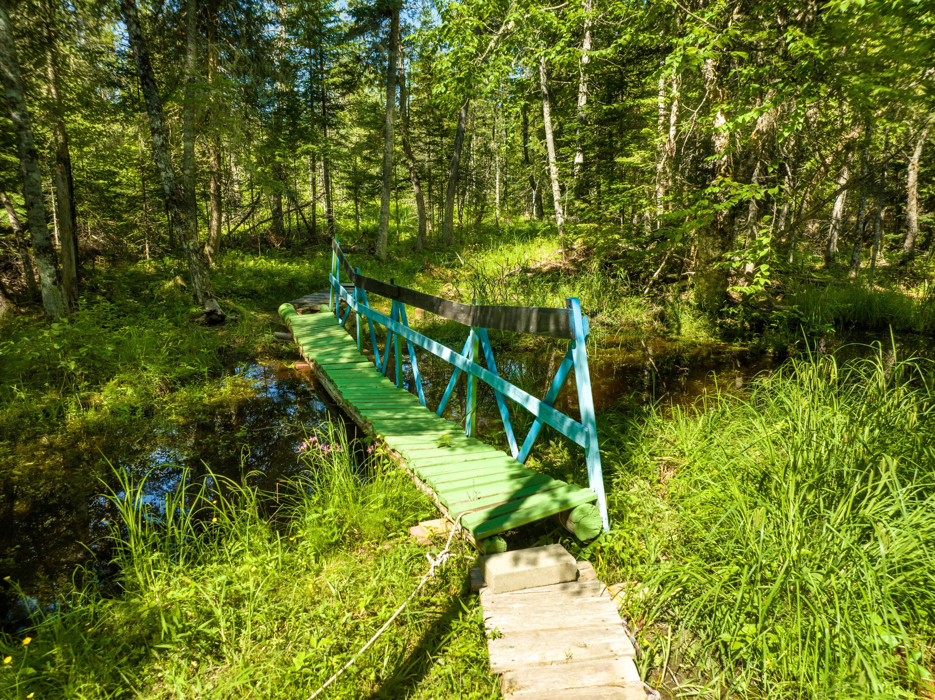185 Durham Bridge Road Newport, ME 04953 - Photo 58 of 116 Bridge crossing...
