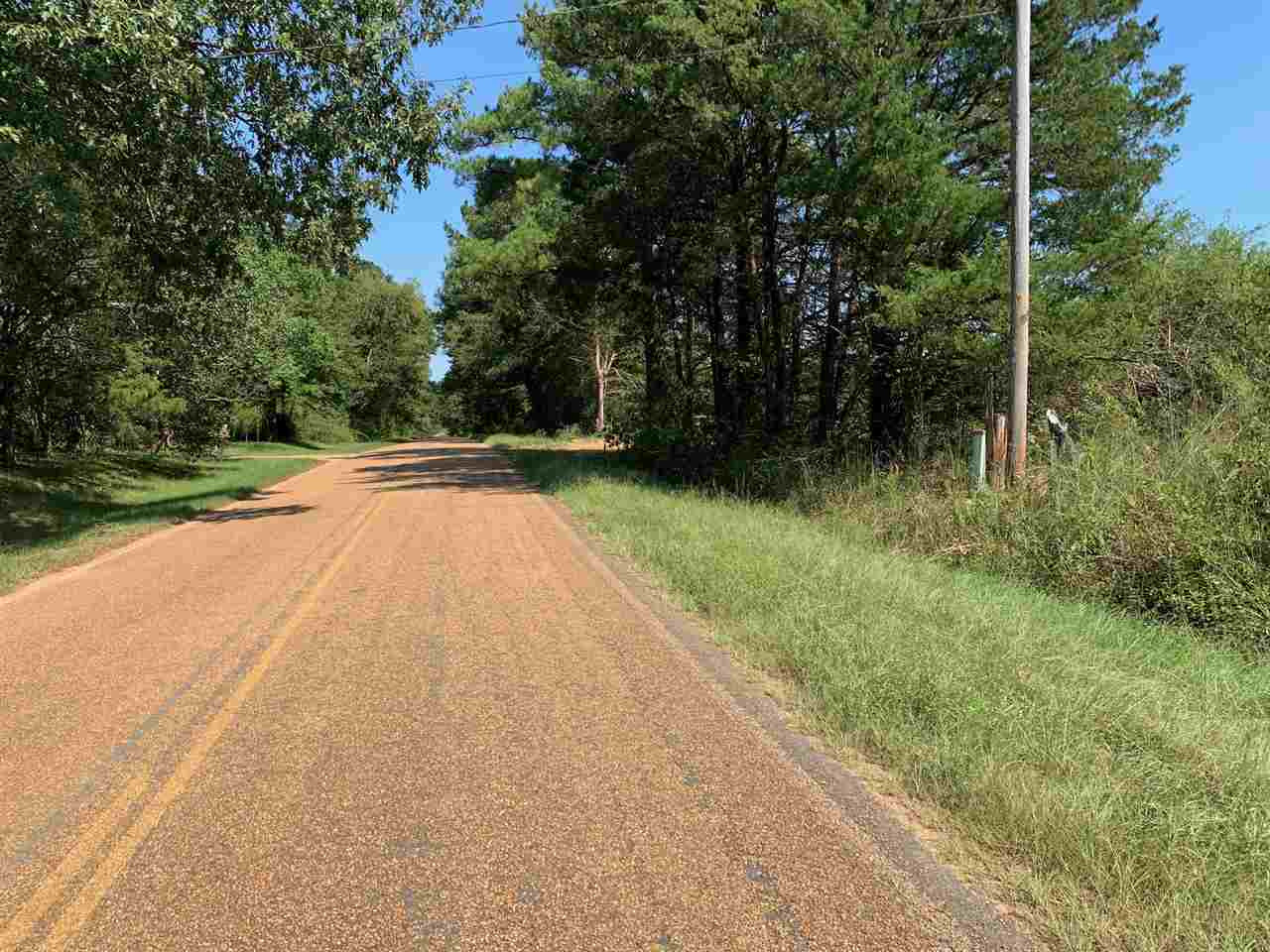 1089 Harmony Road, Unit N/A Crystal Springs, MS 39059 - Photo 4 of 15 Photo 4