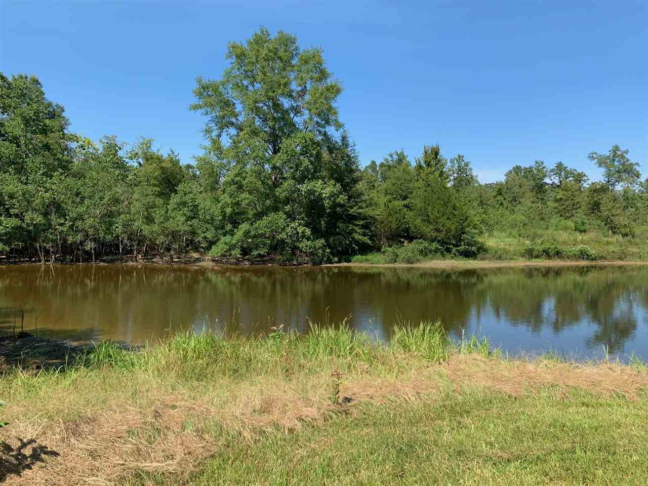 1089 Harmony Road, Unit N/A Crystal Springs, MS 39059 - Photo 10 of 15 Photo 11