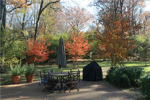 4328 Estes Road Nashville, TN 37215 - Photo 19 of 20 Beautiful private back. 0.88 acres in Green Hills!!