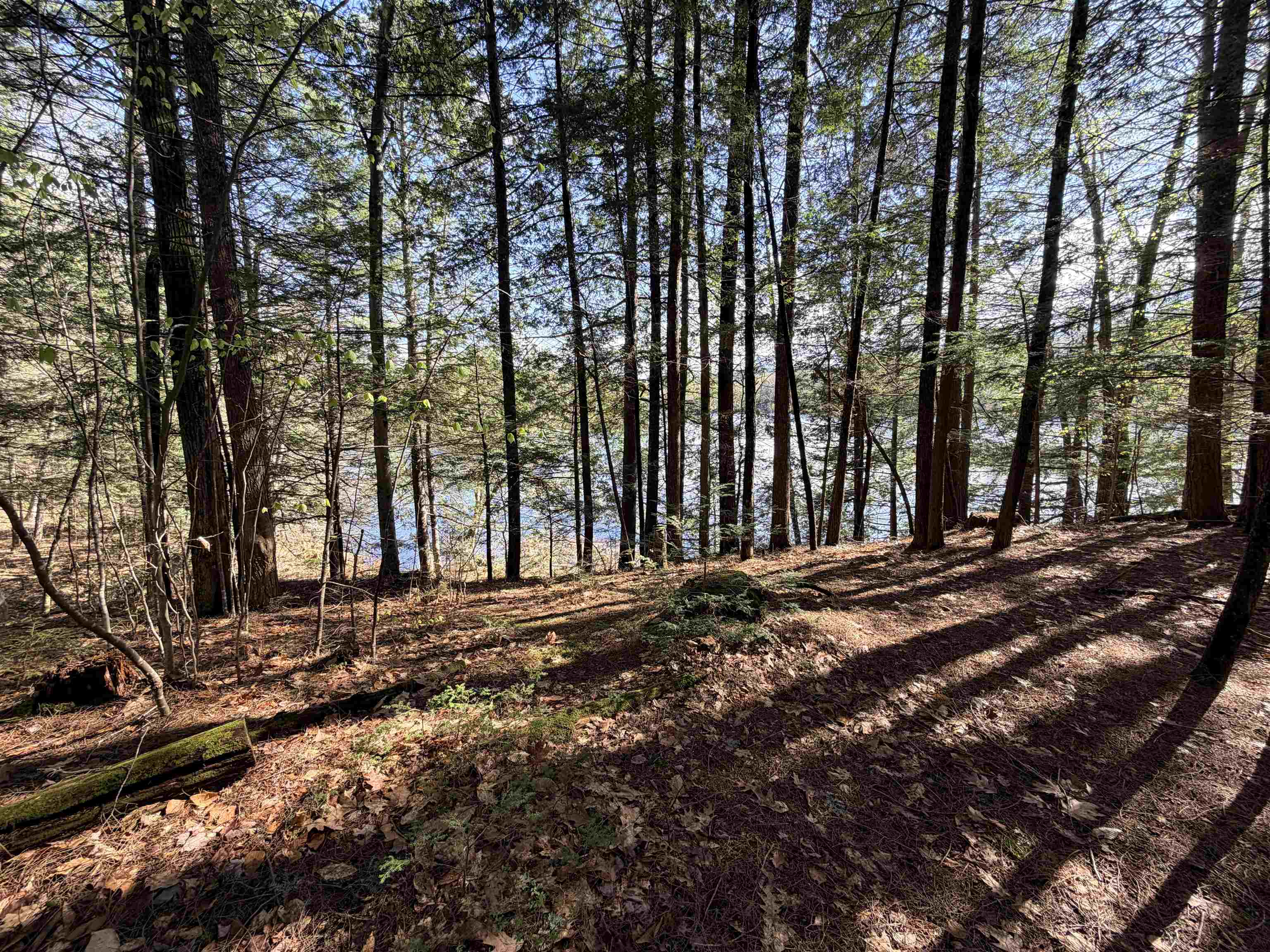 0 North Old Branch Road Antrim, NH 03440 - Photo 5 of 12