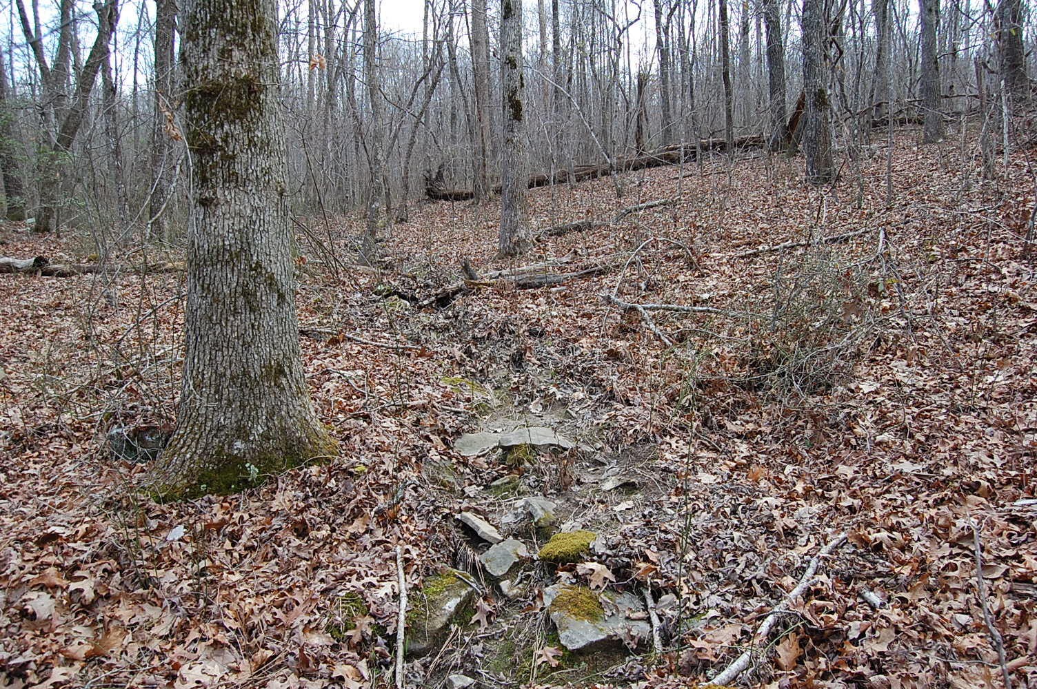 13 Green Forest Road Dunlap, TN 37327 - Photo 21 of 35 Gallery Image 21