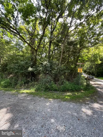 a view of outdoor space with trees
