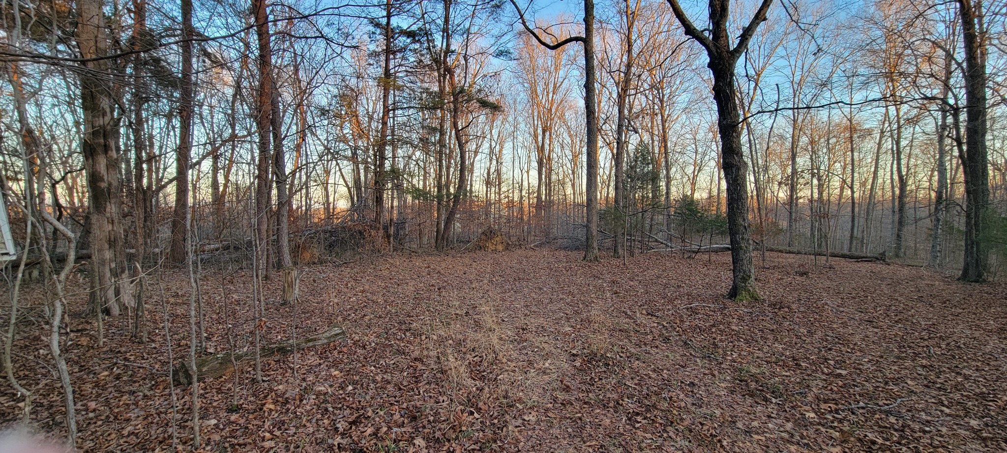 0 Old Lock A Road Charlotte, TN 37036 - Photo 12 of 31 a backyard of a house with lots of green space