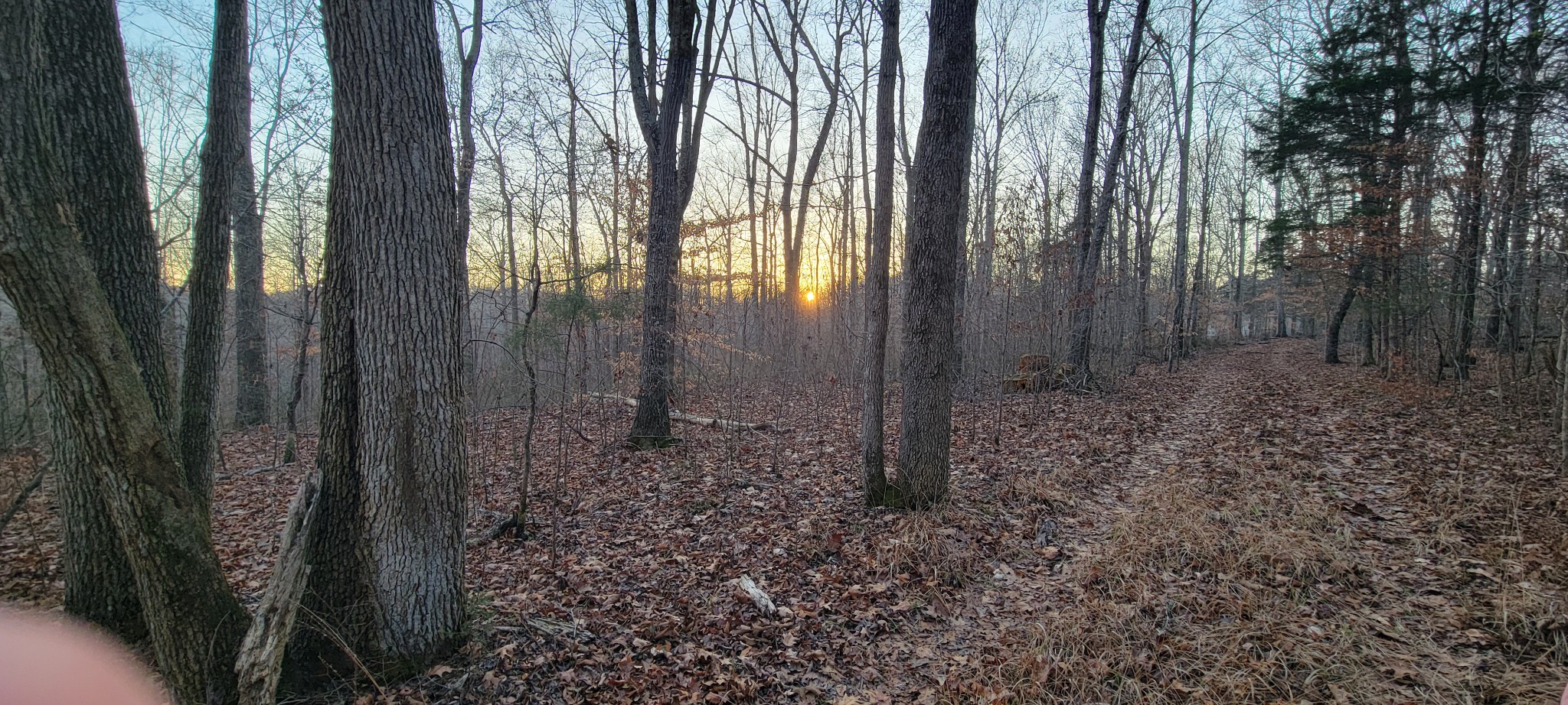 0 Old Lock A Road Charlotte, TN 37036 - Photo 13 of 31 a view of outdoor space and garden