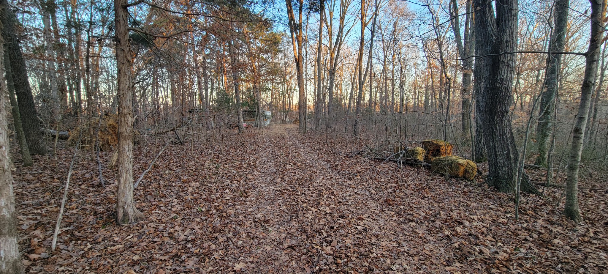 0 Old Lock A Road Charlotte, TN 37036 - Photo 15 of 31 a view of a backyard