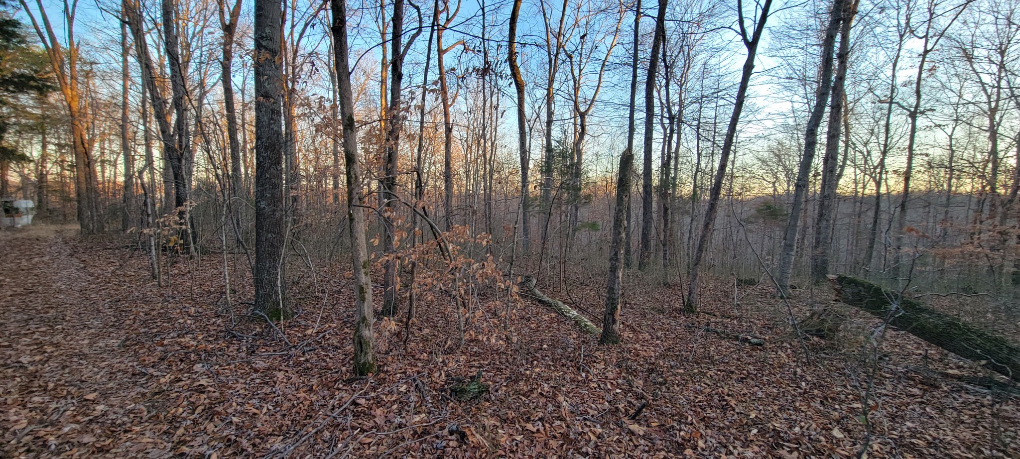 0 Old Lock A Road Charlotte, TN 37036 - Photo 16 of 31 a view of backyard with green space