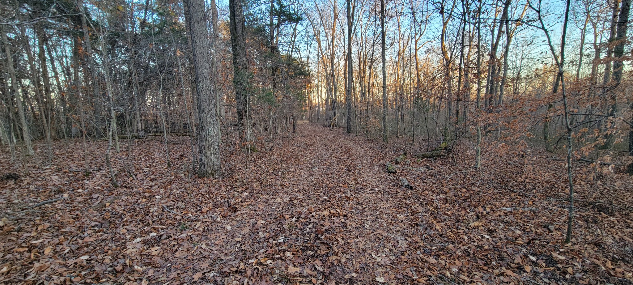0 Old Lock A Road Charlotte, TN 37036 - Photo 17 of 31 a view of a yard with large trees