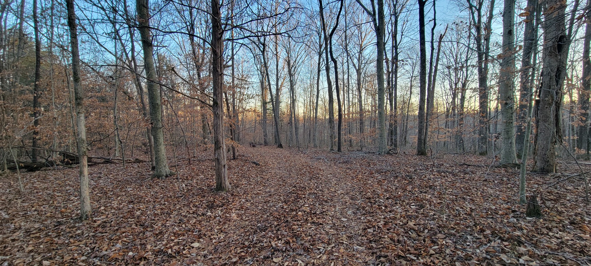 0 Old Lock A Road Charlotte, TN 37036 - Photo 19 of 31 a view of a backyard with large trees