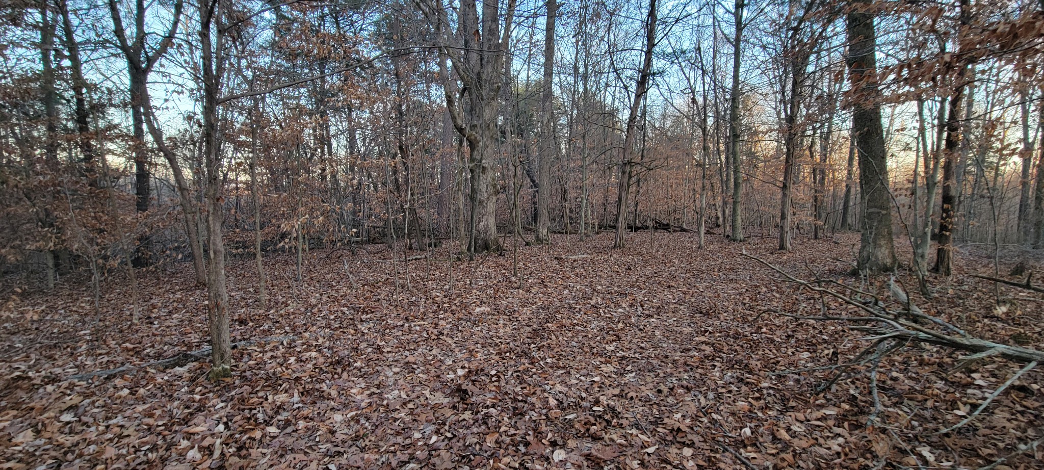 0 Old Lock A Road Charlotte, TN 37036 - Photo 20 of 31 a view of a forest that has a tree