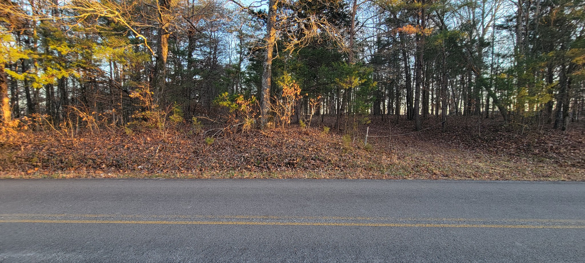 0 Old Lock A Road Charlotte, TN 37036 - Photo 2 of 31 a view of a yard