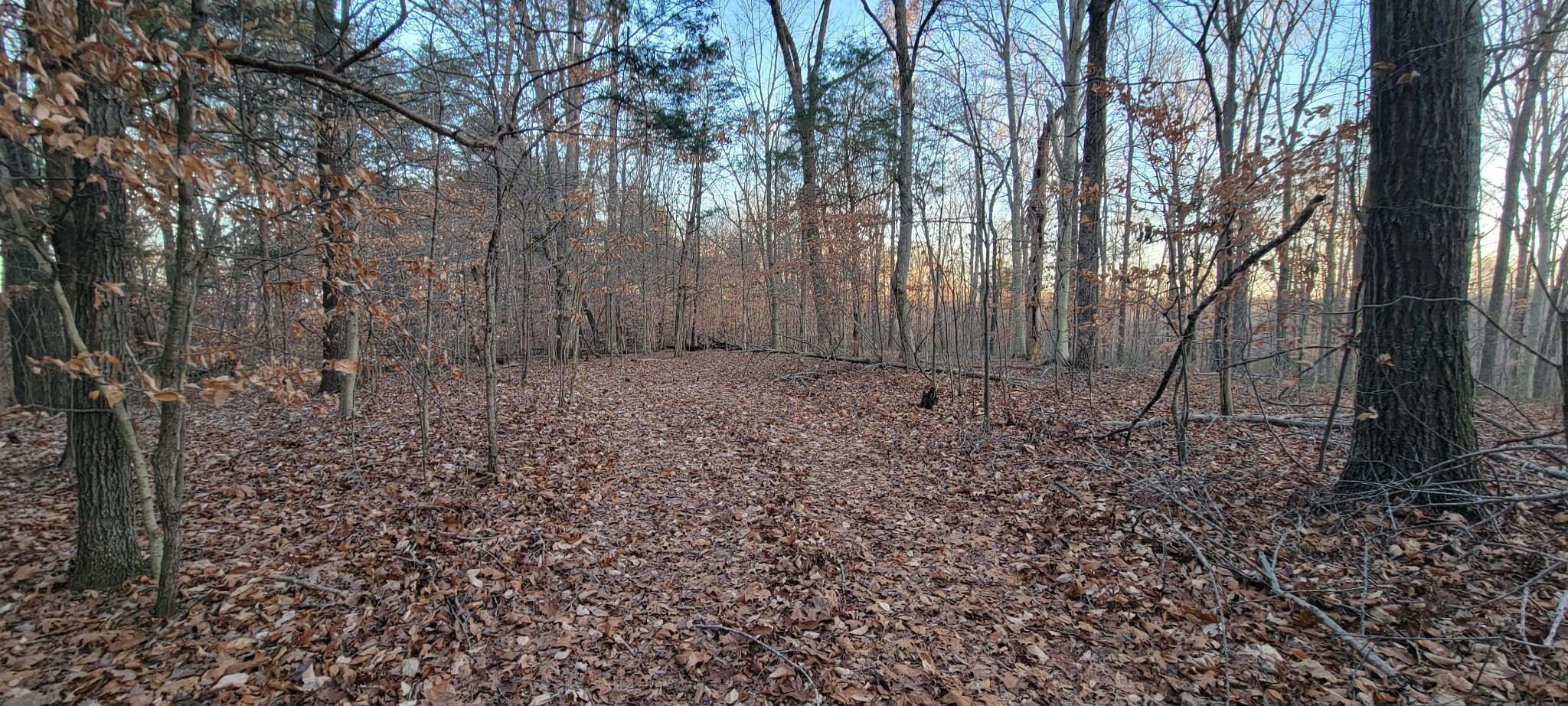 0 Old Lock A Road Charlotte, TN 37036 - Photo 21 of 31 a view of a yard with large trees