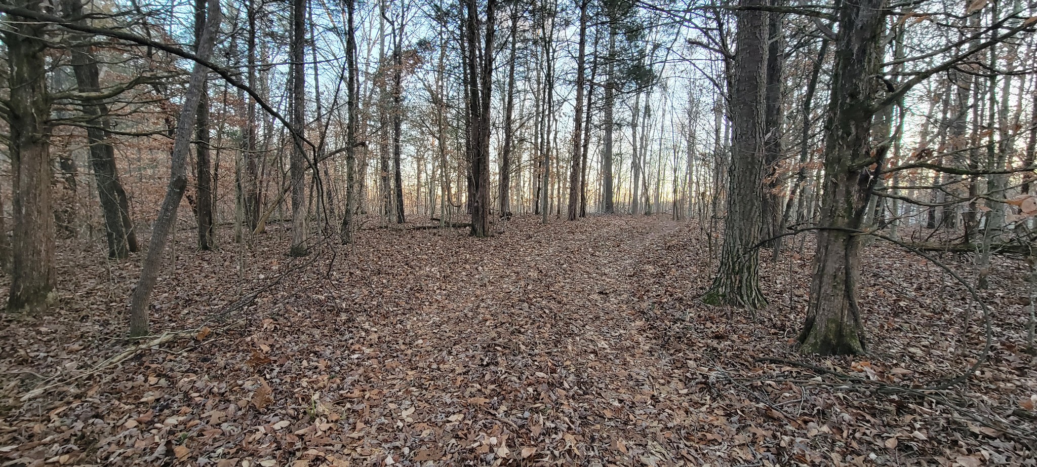 0 Old Lock A Road Charlotte, TN 37036 - Photo 22 of 31 a view of backyard with green space