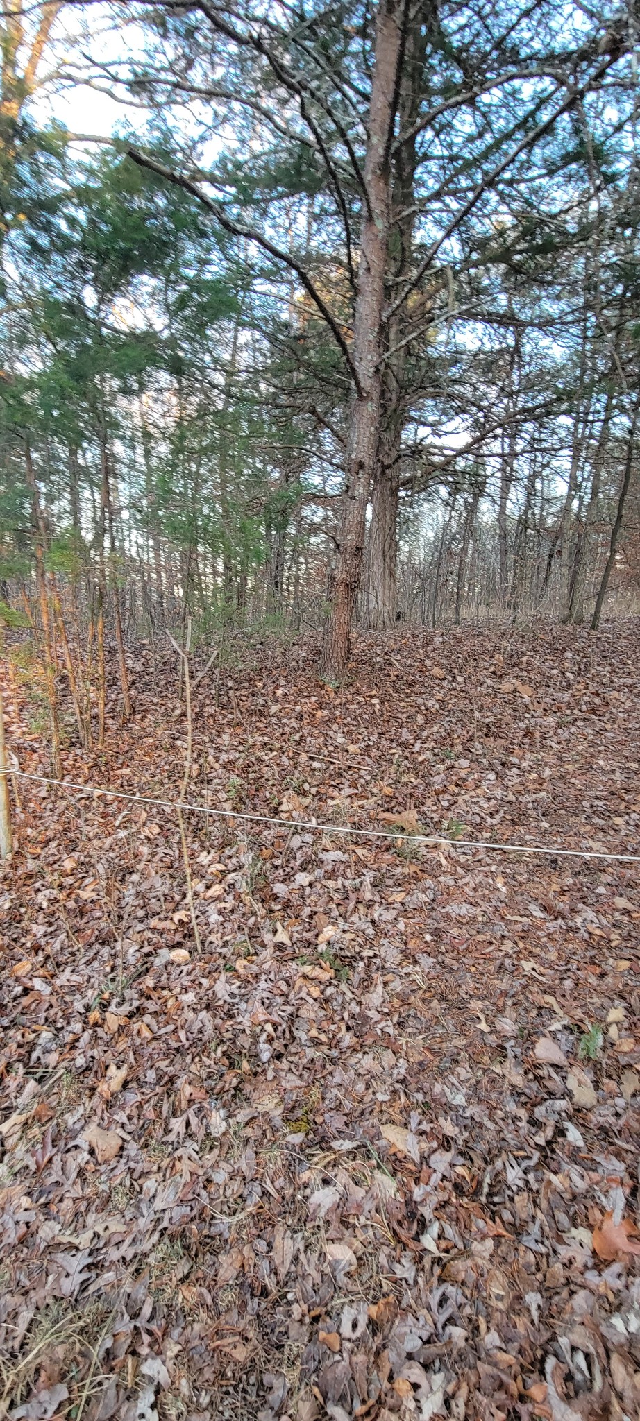 0 Old Lock A Road Charlotte, TN 37036 - Photo 25 of 31 a view of a yard with brick walls