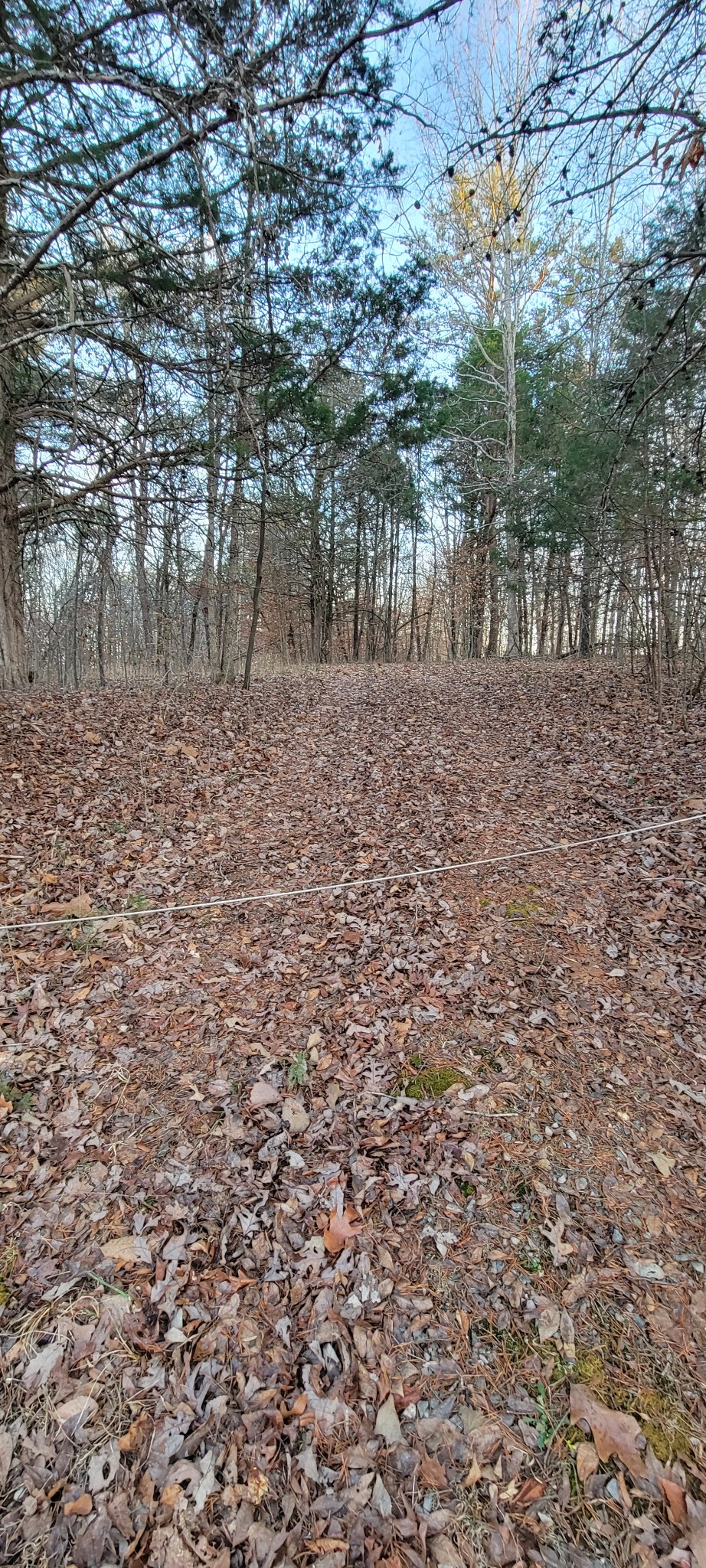 0 Old Lock A Road Charlotte, TN 37036 - Photo 26 of 31 a view of river covered with trees