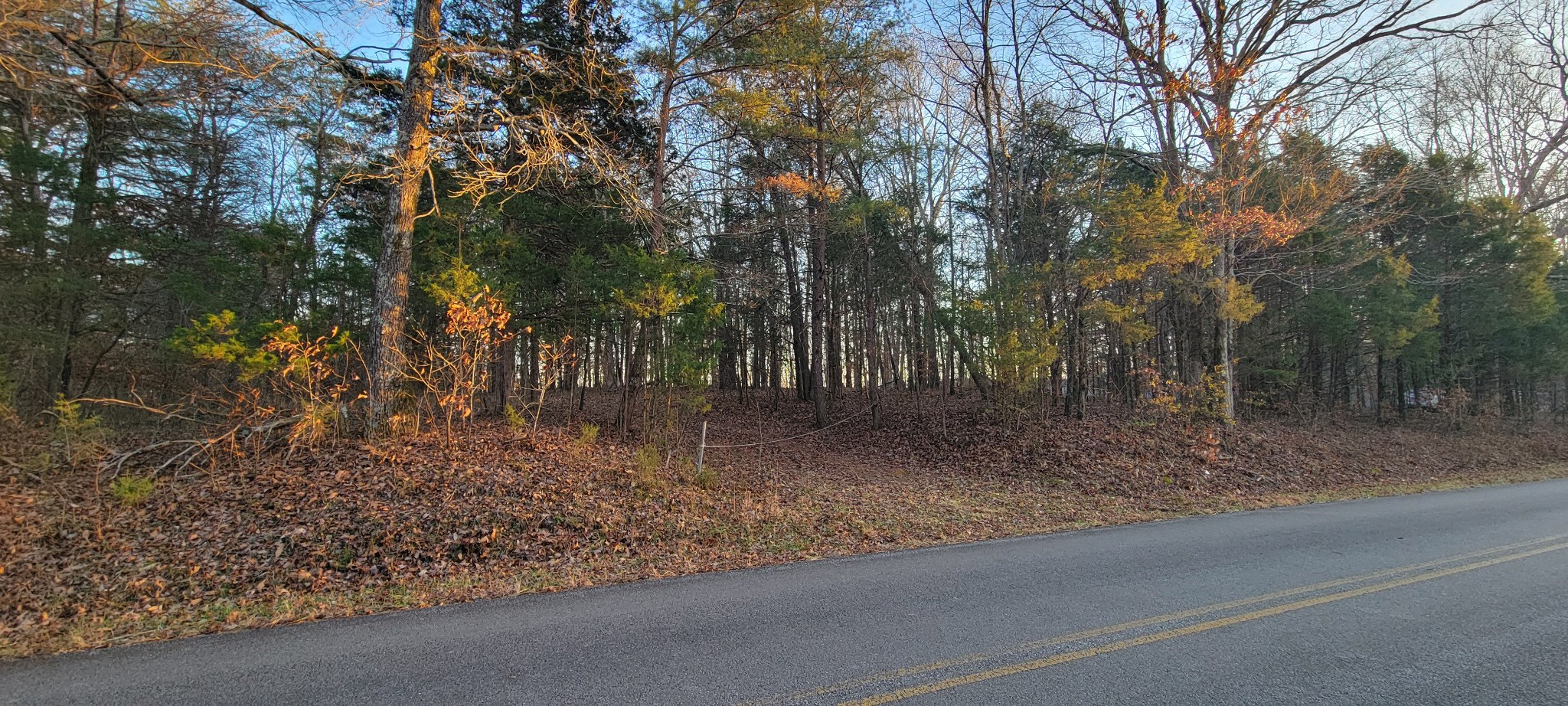 0 Old Lock A Road Charlotte, TN 37036 - Photo 27 of 31 a view of a forest filled with trees