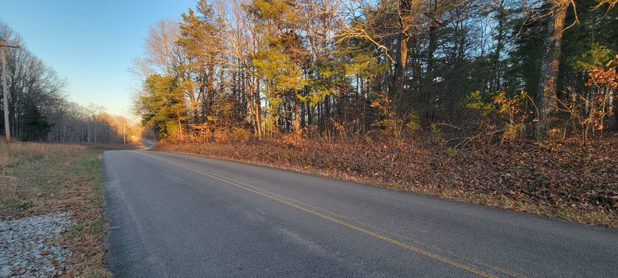 0 Old Lock A Road Charlotte, TN 37036 - Photo 3 of 31 a view of a yard