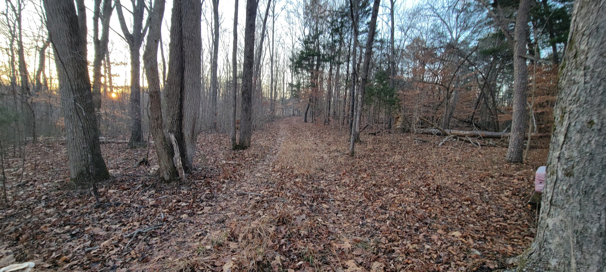0 Old Lock A Road Charlotte, TN 37036 - Photo 4 of 31 a view of a yard with lots of green space