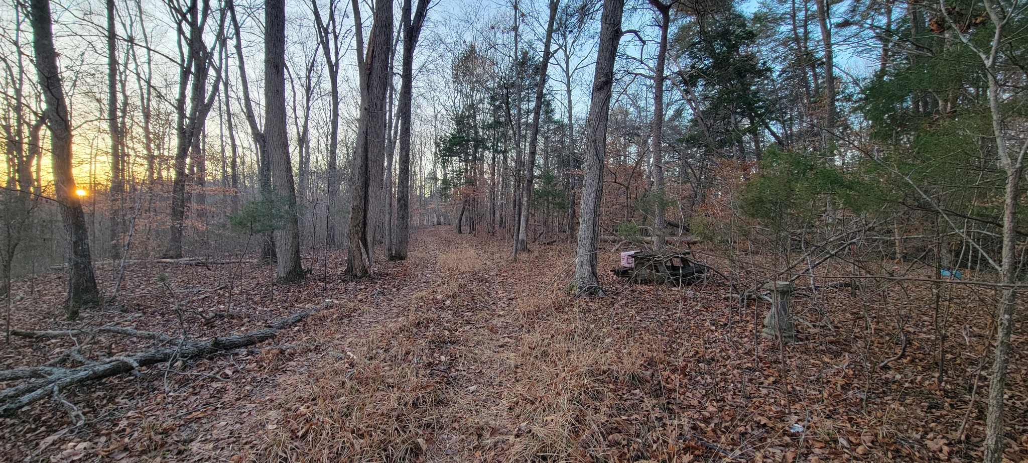 0 Old Lock A Road Charlotte, TN 37036 - Photo 5 of 31 a view of a forest with trees in the background